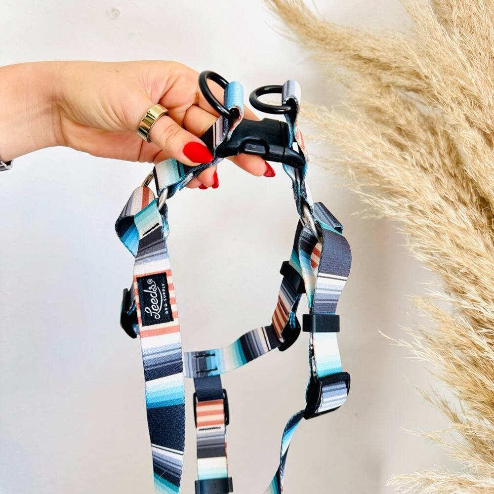 NEW LEEDS Jetty Blue White Orange Stripe Step Harness and 6โ Dog Leash $108 Set - Picture 8 of 11